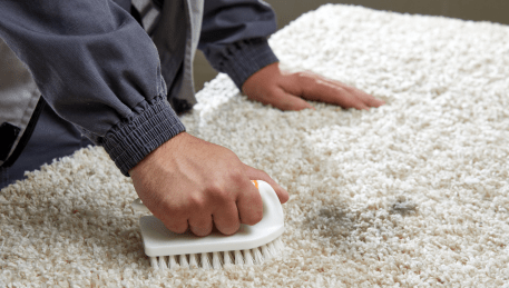 Professional Rug Cleaning Boronia