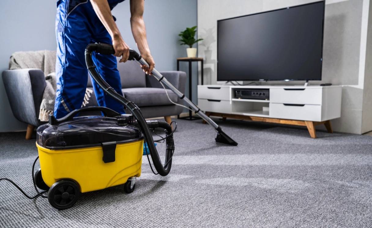 Extract Rug Cleaning Boronia Contact Office